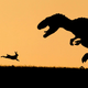 Image for article titled Help Us Make National Geographic's Photo Contest Entries Even Better